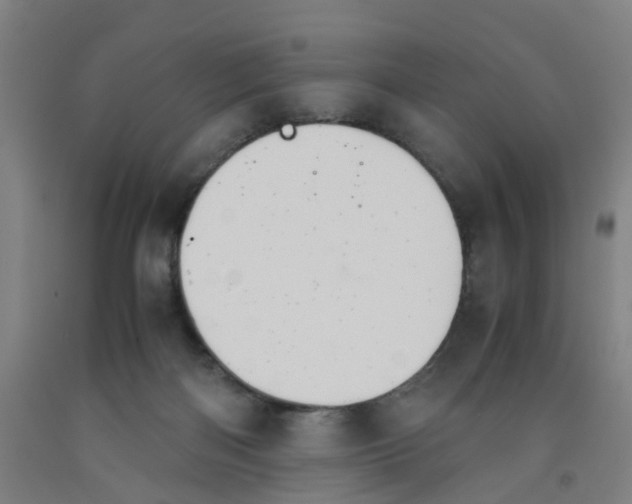 X0000091980122200709271435