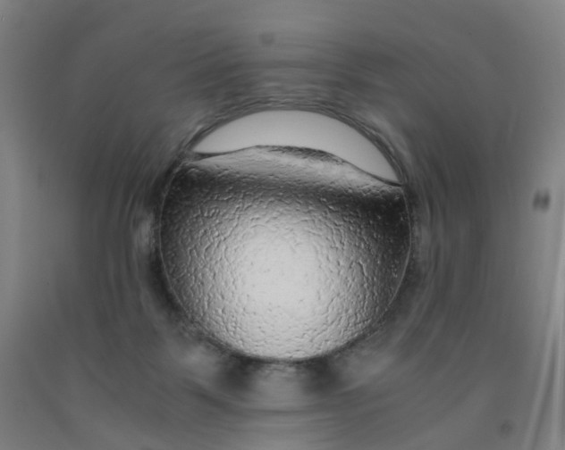 X0000091980123200709271435