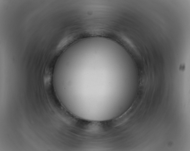 X0000091980124200709271435