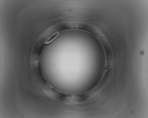 X0000091980125200709271435