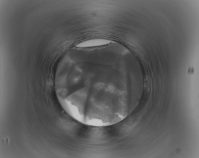 X0000091980127200709271435