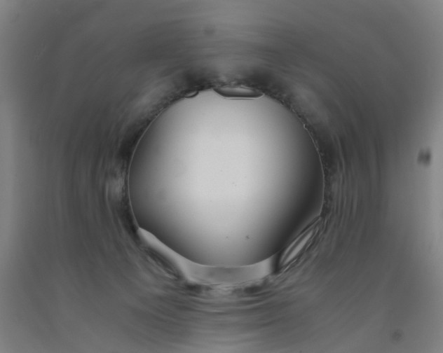 X0000091980129200709271435