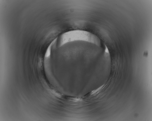 X0000091980130200709271435