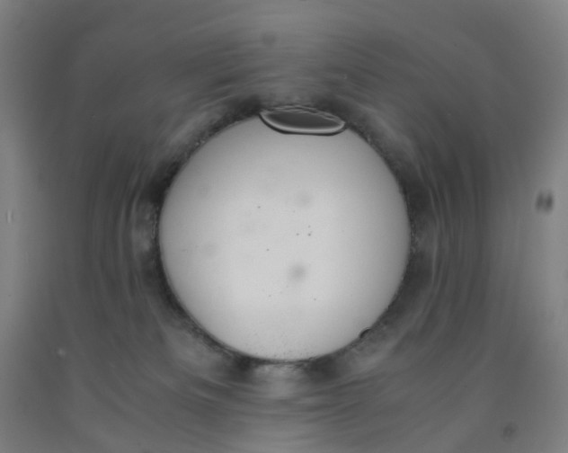 X0000091980133200709271435