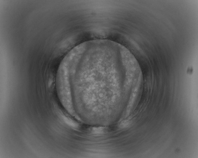 X0000091980134200709271435