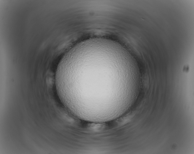 X0000091980135200709271435