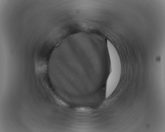 X0000091980137200709271435