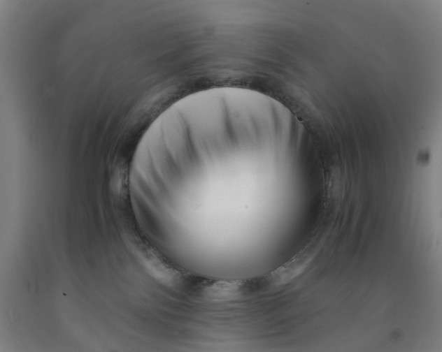 X0000091980138200709271435