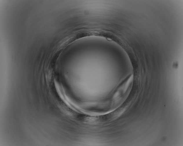 X0000091980139200709271435