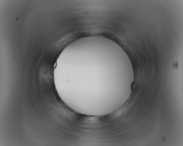 X0000091980140200709271435