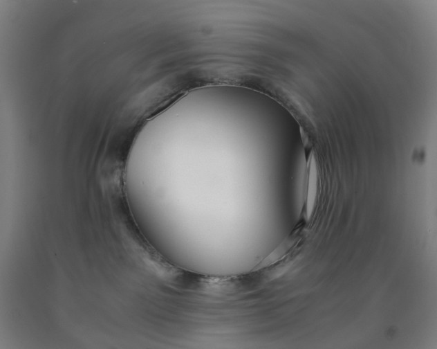 X0000091980141200709271435