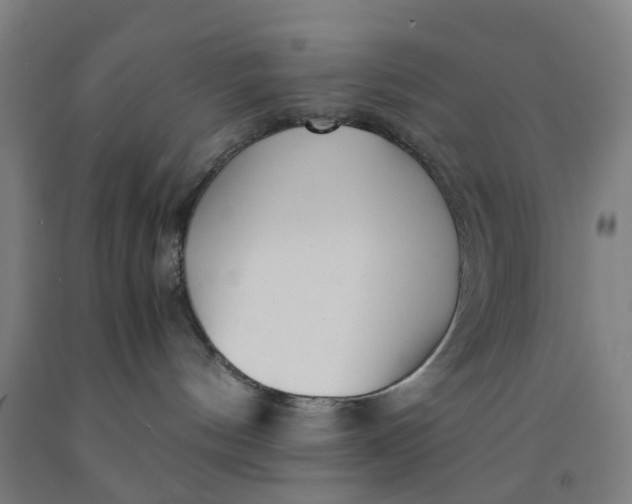 X0000091980144200709271435