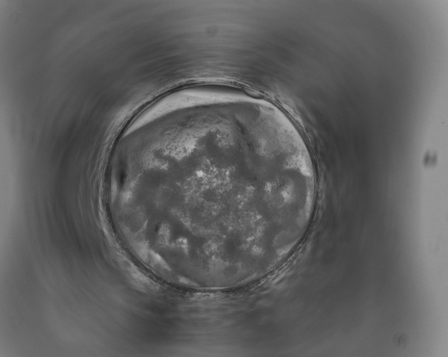 X0000091980145200709271434