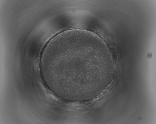 X0000091980146200709271434