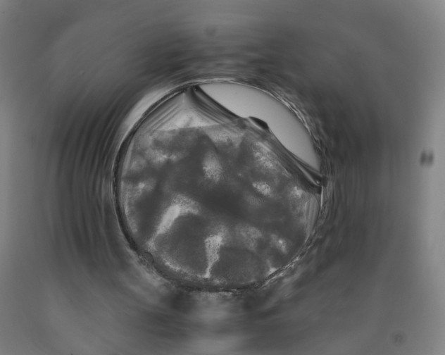 X0000091980147200709271434