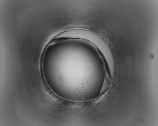 X0000091980148200709271434