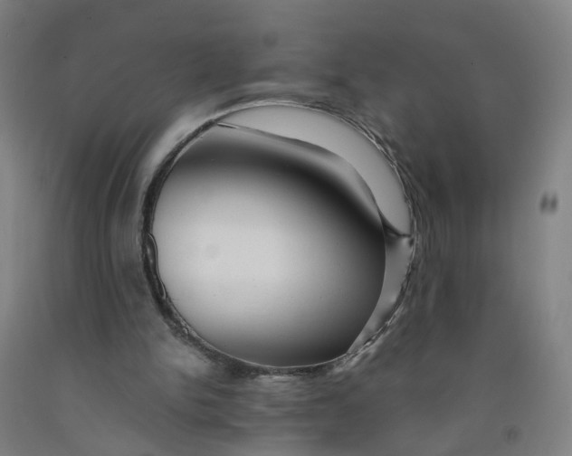 X0000091980150200709271434
