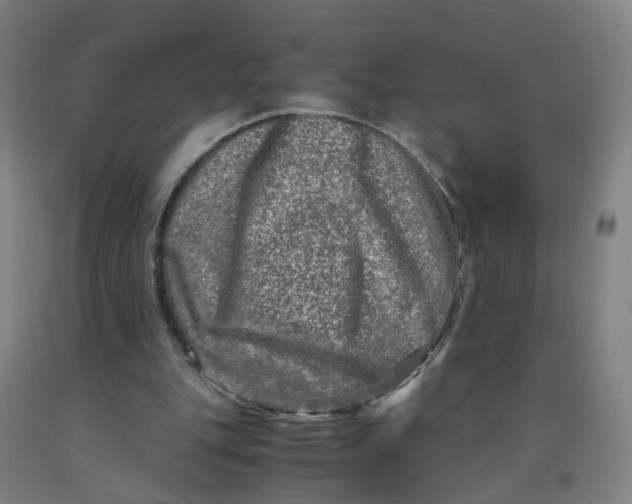 X0000091980151200709271434
