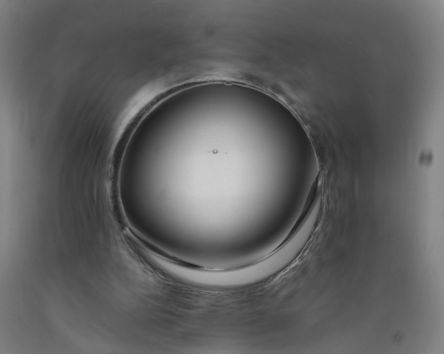 X0000091980152200709271434