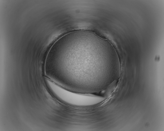 X0000091980154200709271434