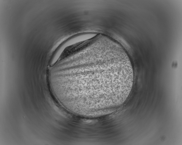 X0000091980155200709271434