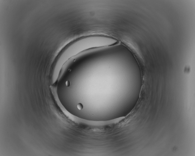 X0000091980156200709271434