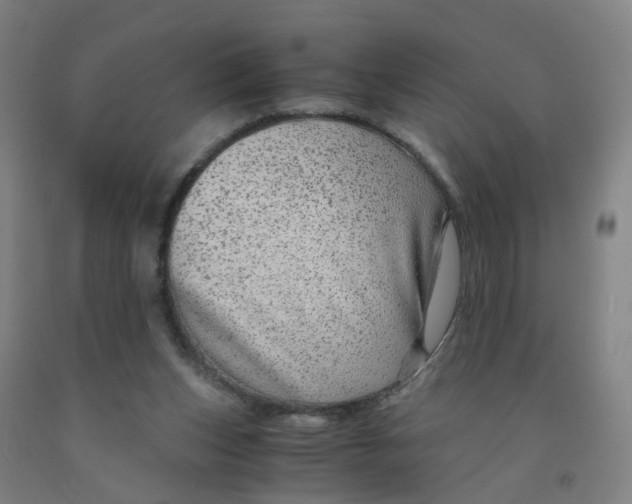 X0000091980159200709271434