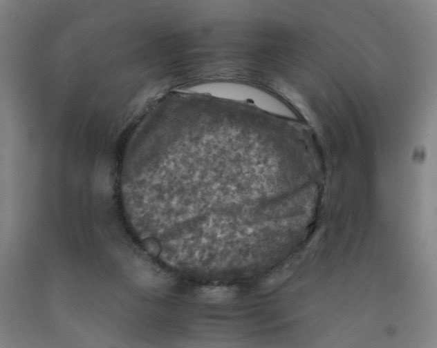 X0000091980161200709271434