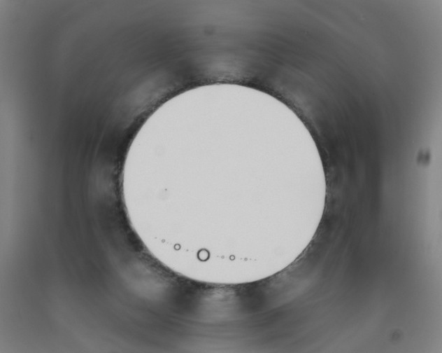 X0000091980162200709271434