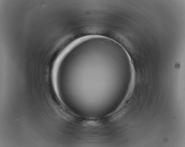 X0000091980163200709271434
