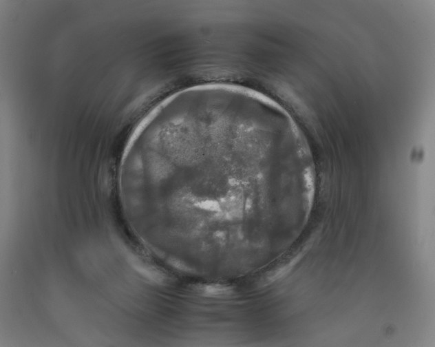 X0000091980165200709271434