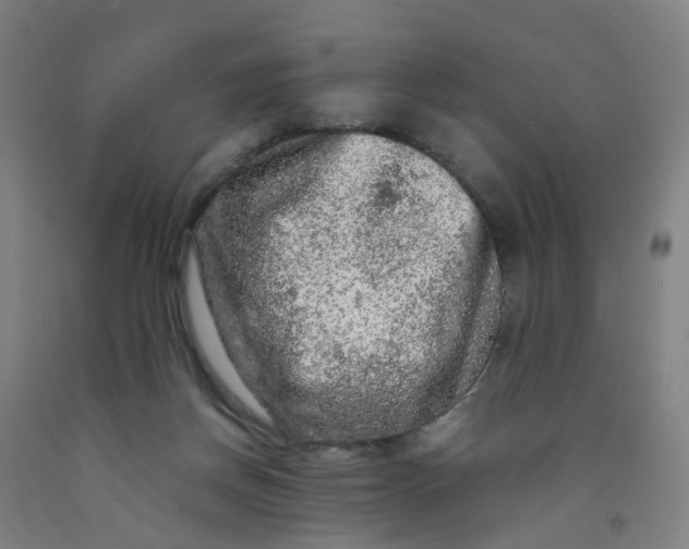 X0000091980166200709271434