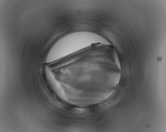 X0000091980167200709271434