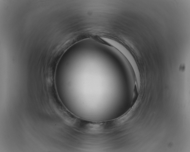 X0000091980170200709271434