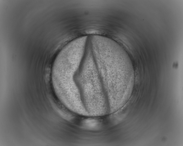 X0000091980171200709271434