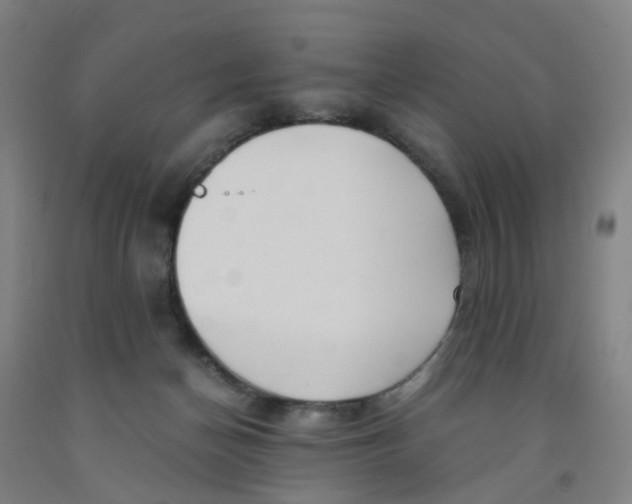 X0000091980174200709271435