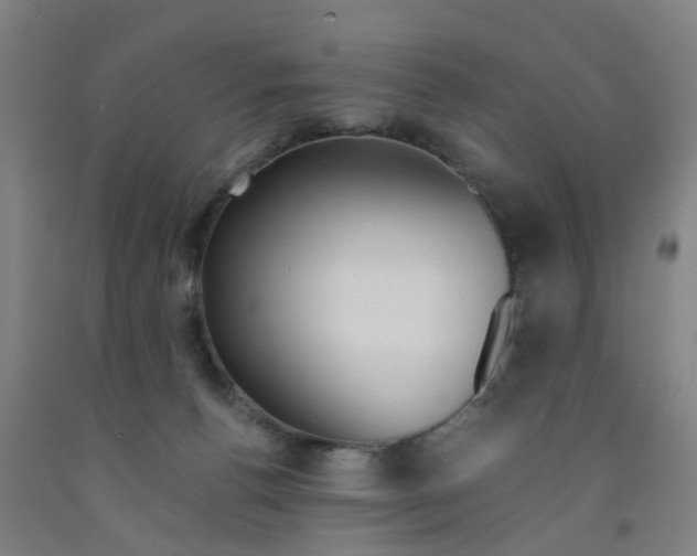 X0000091980176200709271435