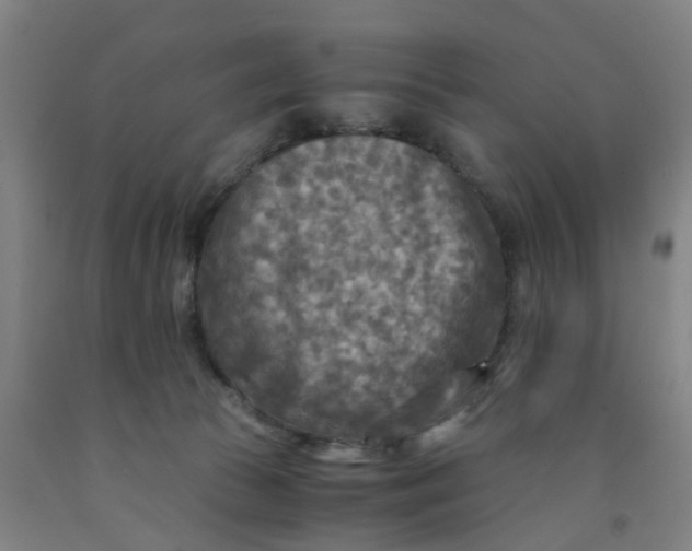 X0000091980177200709271435
