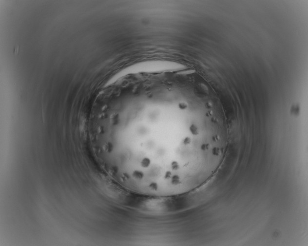 X0000091980178200709271435