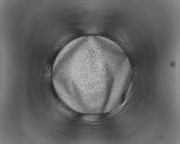X0000091980179200709271435
