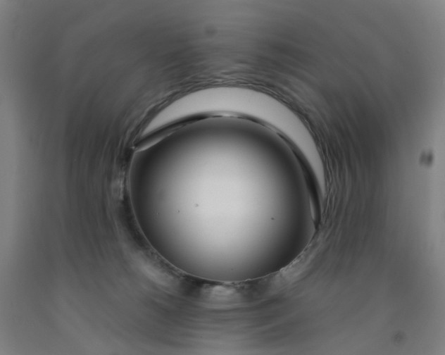 X0000091980180200709271435