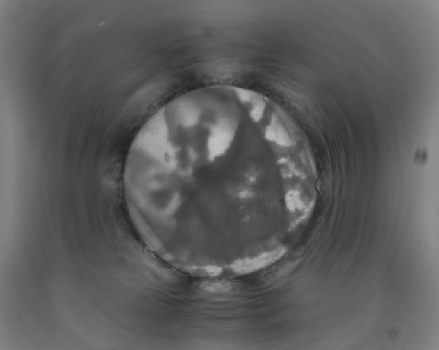 X0000091980181200709271435