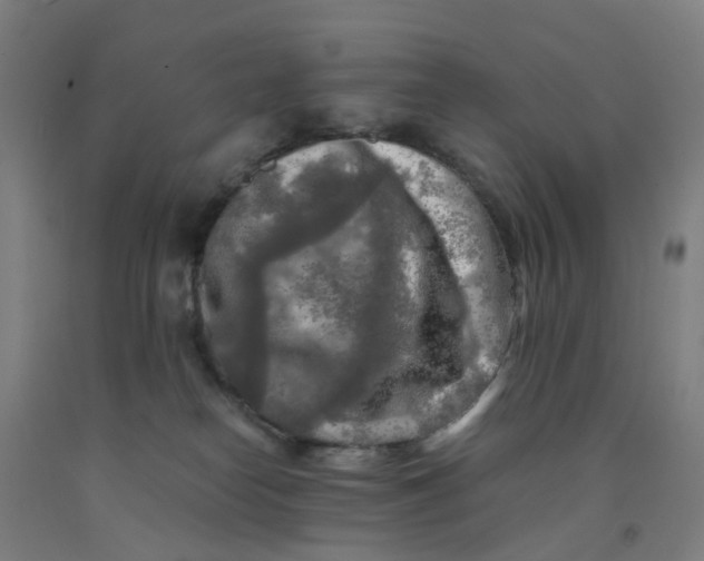 X0000091980182200709271435