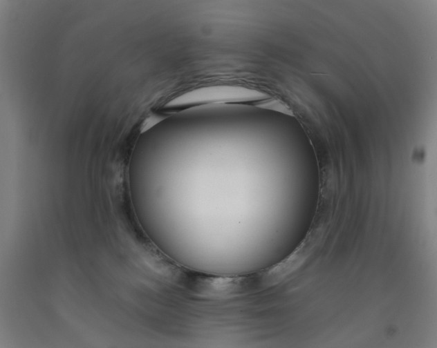 X0000091980184200709271435