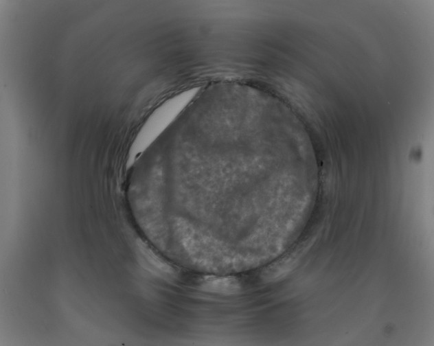 X0000091980185200709271435