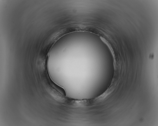 X0000091980188200709271435