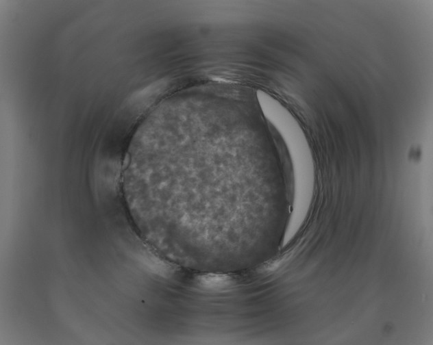 X0000091980189200709271435