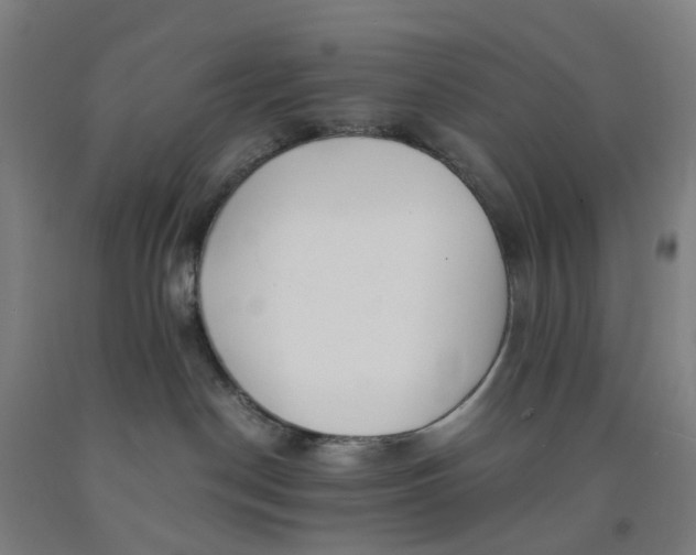 X0000091980190200709271435