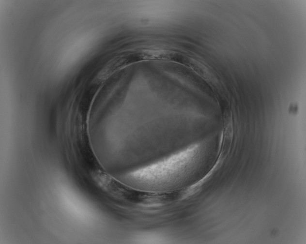 X0000091980191200709271435