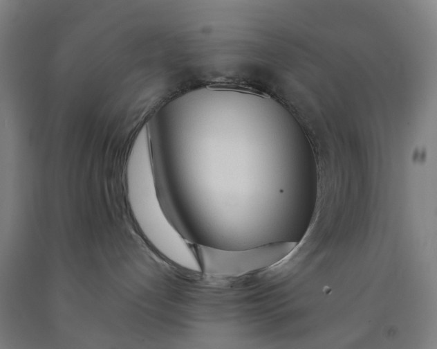 X0000091980192200709271435